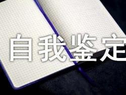 自我鉴定300字工作通用10篇