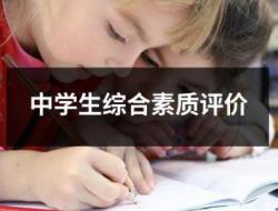 综合素质评价怎么写初中生